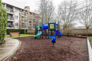 Photo 22: 115 8915 202 Street in Langley: Walnut Grove Condo for sale in "The Hawthorne" : MLS®# R2536470