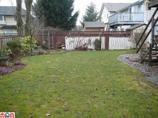 Photo 8: 31300 DEHAVILLAND Drive in Abbotsford: Abbotsford West House for sale : MLS®# F1106334