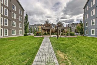 Photo 22: 4317 99 Copperstone Park SE in Calgary: Copperfield Apartment for sale : MLS®# A2069160