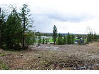 Photo 3: 31981 KENNEY Avenue in Mission: Mission BC Land for sale in "SPORTS PARK" : MLS®# F1436723