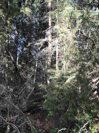 Photo 22: Pinebrook Block 1 Lot 2: Rural Thorhild County Rural Land/Vacant Lot for sale : MLS®# E4171871