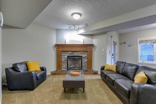 Photo 32: 19 Elgin Estates Hill SE in Calgary: McKenzie Towne Detached for sale : MLS®# A2129521