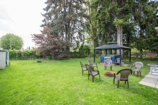 Photo 6: 12219 221 Street in Maple Ridge: West Central House for sale : MLS®# R2687629