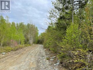 Photo 13: -- Gaines Road in Rollingdam: Vacant Land for sale : MLS®# NB073095