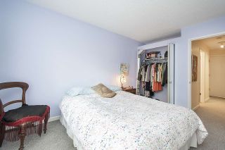 Photo 10: 203 1412 W 14TH AVENUE in Vancouver: Fairview VW Condo for sale (Vancouver West)  : MLS®# R2480745