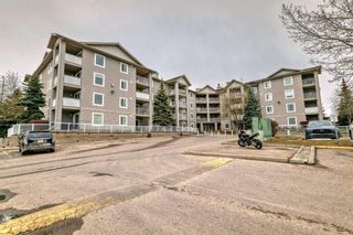 Photo 4: 5211 604 8 Street SW: Airdrie Apartment for sale : MLS®# A2127014