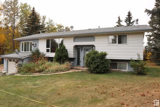 Photo 3: 4701 22 Street: Rural Wetaskiwin County House for sale : MLS®# E4315509