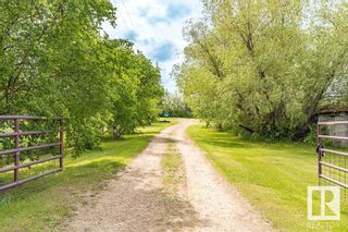 Photo 31: 254063 Twp Rd 480: Rural Wetaskiwin County House for sale : MLS®# E4301718