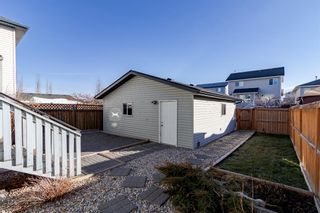 Photo 34: 266 Silver Springs Way NW: Airdrie Detached for sale : MLS®# A1181497