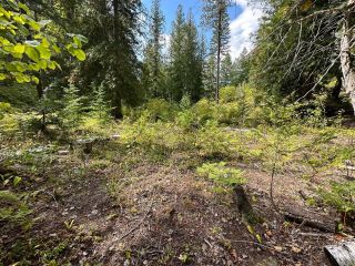 Photo 18: LOT 110 KIMOFF ROAD in Appledale: Vacant Land for sale : MLS®# 2473319