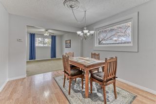 Photo 9: 8815 36 Avenue NW in Calgary: Bowness Detached for sale : MLS®# A1151045