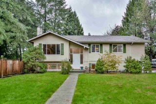 Photo 1: 21436 117 Avenue in Maple Ridge: West Central House for sale : MLS®# R2139746