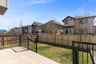 Photo 36: 121 Baywater Way SW: Airdrie Detached for sale : MLS®# A2045642