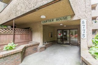Photo 3: 201 8775 CARTIER Street in Vancouver: Marpole Condo for sale in "CARTIER HOUSE" (Vancouver West)  : MLS®# R2590596
