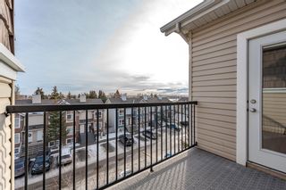 Photo 14: 4201 73 Erin Woods Court SE in Calgary: Erin Woods Apartment for sale : MLS®# A2019249