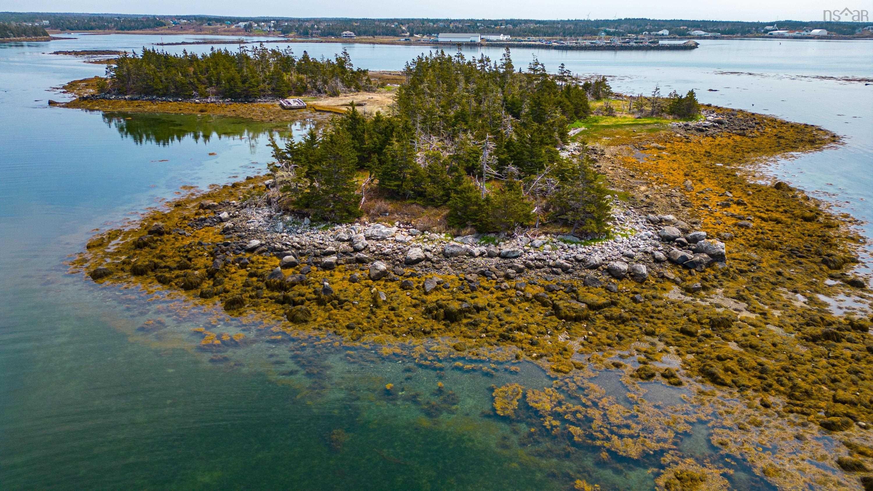 Main Photo: Squirrel Island in Forbes Point: 407-Shelburne County Vacant Land for sale (South Shore)  : MLS®# 202309168