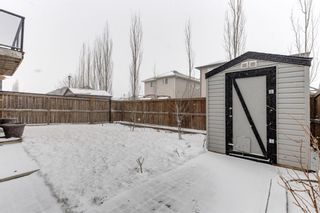 Photo 43: 2738 Prairie Springs Green SW: Airdrie Detached for sale : MLS®# A1205783
