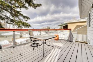 Photo 36: 2005 27 Street SE in Calgary: Southview Detached for sale : MLS®# A2021646