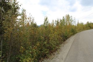 Photo 4: Lot 82 Sunset Drive: Eagle Bay Land Only for sale (Shuswap)  : MLS®# 10186646