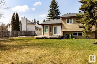 Photo 7:  in Edmonton: Zone 29 House for sale : MLS®# E4330896