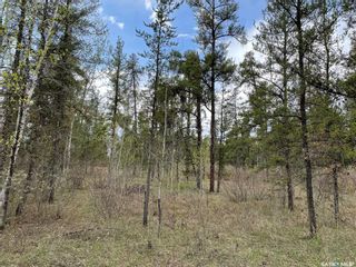 Photo 19: Torch River RM Acreage 5.51 Acres in Torch River: Lot/Land for sale (Torch River Rm No. 488)  : MLS®# SK933277
