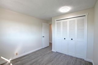 Photo 25: 332 Abinger Crescent NE in Calgary: Abbeydale Detached for sale : MLS®# A1258594