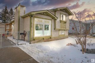 Photo 24: 1915 104 Street in Edmonton: Zone 16 House for sale : MLS®# E4385850