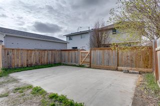 Photo 24: 30 Martindale Boulevard NE in Calgary: Martindale Detached for sale : MLS®# A1111096