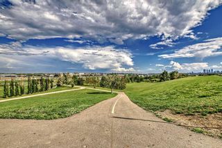 Photo 44: 1504 544 Blackthorn Road NE in Calgary: Thorncliffe Row/Townhouse for sale : MLS®# A2057918