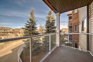 Photo 11: 204 92 Saddletree Court NE in Calgary: Saddle Ridge Apartment for sale : MLS®# A2126559