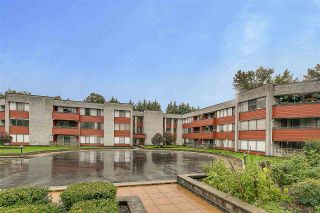 Photo 19: 210 9270 SALISH Court in Burnaby: Sullivan Heights Condo for sale in "The Timbers" (Burnaby North)  : MLS®# R2405886