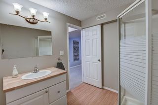 Photo 36: 31 Chapalina Crescent SE in Calgary: Chaparral Detached for sale : MLS®# A1165294