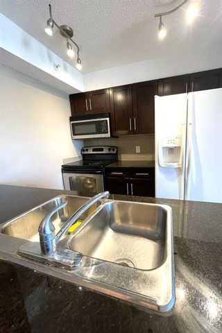 Photo 4: 402 7210 80 Avenue NE in Calgary: Saddle Ridge Apartment for sale : MLS®# A2001799