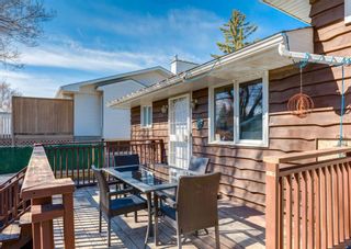 Photo 32: 203 Dalhurst Way NW in Calgary: Dalhousie Detached for sale : MLS®# A2129462