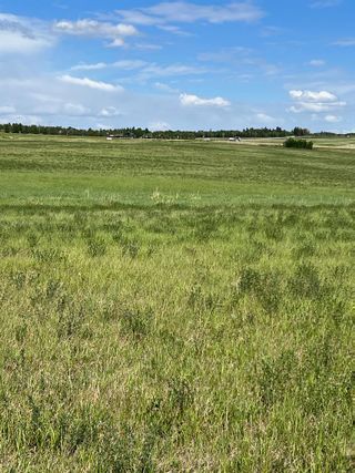 Photo 6: NW-22-71-7-W6 ...: Dimsdale Agriculture for sale : MLS®# A2053375