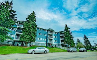 Photo 14: 155 5140 62 Street: Red Deer Apartment for sale : MLS®# A2069632