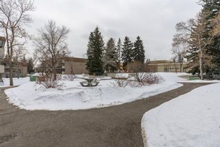 Photo 33: 32B 231 Heritage Drive SE in Calgary: Acadia Apartment for sale : MLS®# A1172862