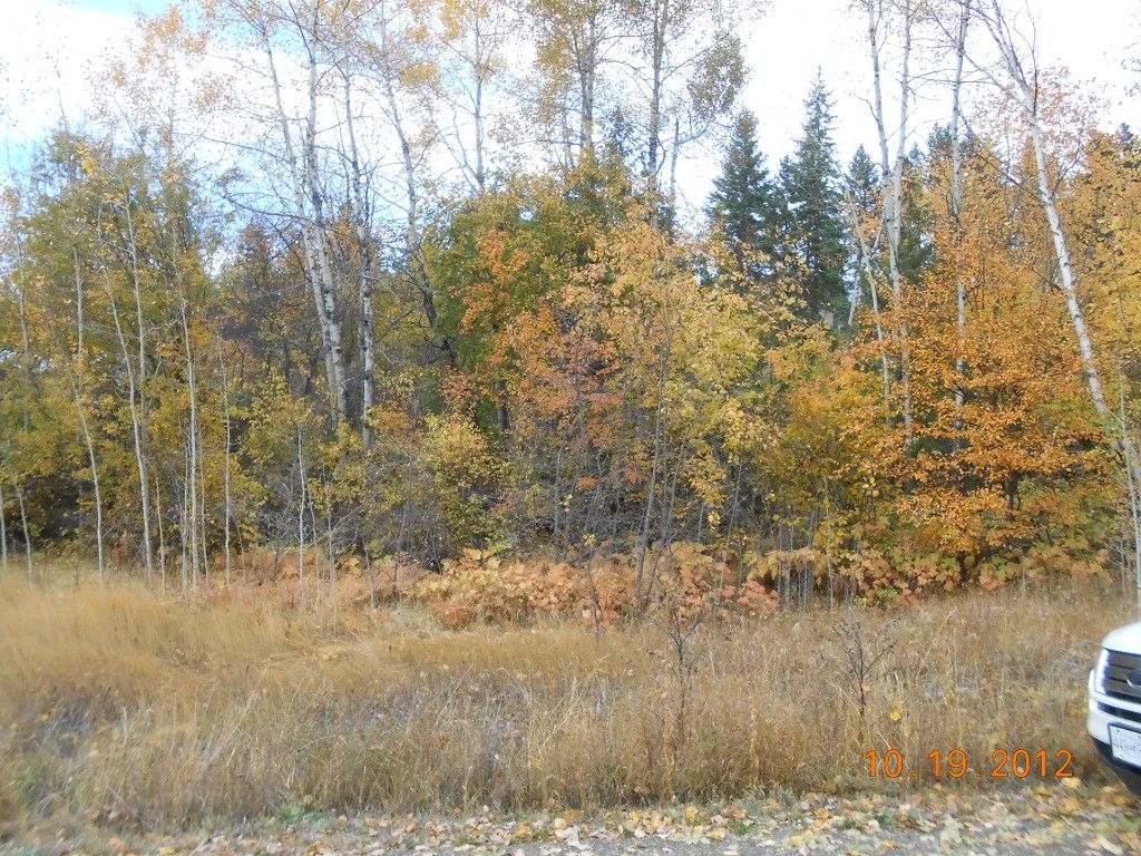Main Photo: 3 2481 Squilax Anglemont Road in Lee Creek: Land Only for sale : MLS®# 10055686