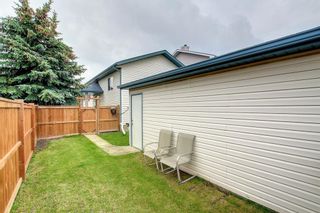 Photo 7: 94 Appleburn Close N in Calgary: Applewood Park Detached for sale : MLS®# A1235940