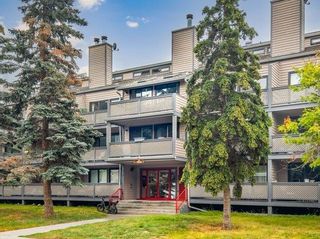 Photo 1: 306 414 Squirrel Street: Banff Apartment for sale : MLS®# A2030837