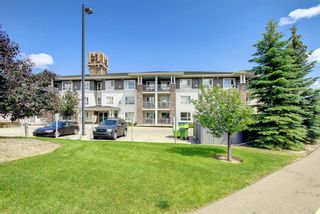 Photo 49: 124 8200 4 Street NE in Calgary: Beddington Heights Apartment for sale : MLS®# A2017788