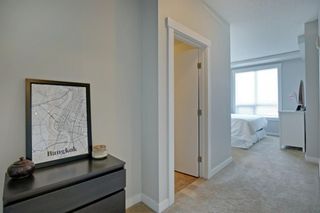 Photo 17: 1417 8710 Horton Road SW in Calgary: Haysboro Apartment for sale : MLS®# A1197972