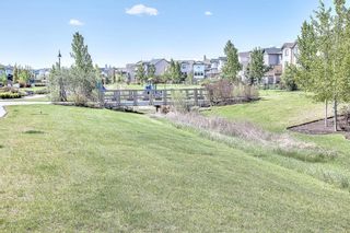 Photo 46: 233 Silverado Ranch Manor SW in Calgary: Silverado Detached for sale : MLS®# A1215071