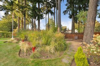 Photo 58: 576 Tena Pl in Colwood: Co Wishart North House for sale : MLS®# 919485