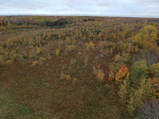 Photo 5: Lot Nollett Beckwith Road in Burlington: 404-Kings County Vacant Land for sale (Annapolis Valley)  : MLS®# 202021749