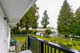 Photo 16: 14751 111A Avenue in Surrey: Bolivar Heights House for sale (North Surrey)  : MLS®# R2113728