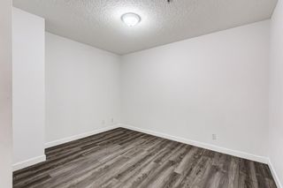 Photo 22: 3209 1620 70 Street SE in Calgary: Applewood Park Apartment for sale : MLS®# A1116068