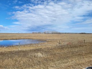 Photo 7: Radisson 158 acres Pastureland (Que) in Great Bend: Farm for sale (Great Bend Rm No. 405)  : MLS®# SK965878