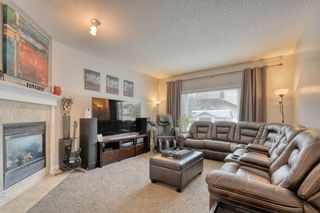 Photo 15: 5 CRANWELL Crescent SE in Calgary: Cranston Detached for sale : MLS®# A1018519