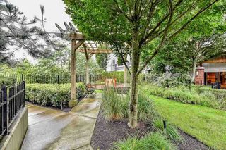 Photo 2: A401 8929 202 Street in Langley: Walnut Grove Condo for sale in "The Grove" : MLS®# R2108220